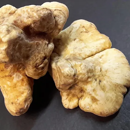 Regina Yeti Bistrot 3* سيستولا