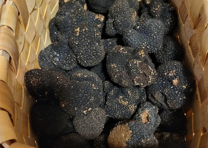 Regina Yeti Bistrot 3* Sestola