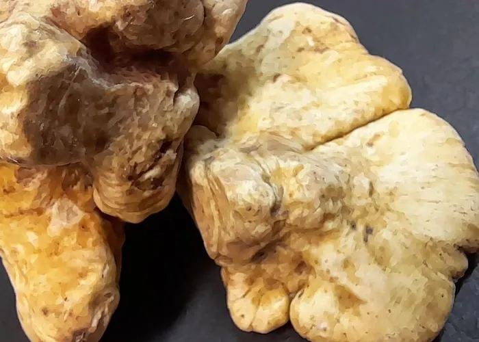 Regina Yeti Bistrot 3* Sestola